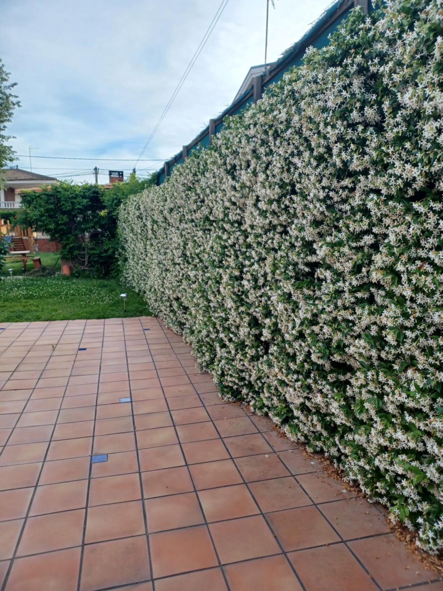 Piscina De Sal Barbacoa Wifi, Parking Gratis, 3 Min Pga Casa El Roble Villa Girona Exterior foto